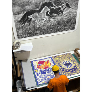Top down view of technician working at Photolab on large poster prints for various local festivals and events in Berkeley, California